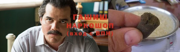 прущие грибы Абинск