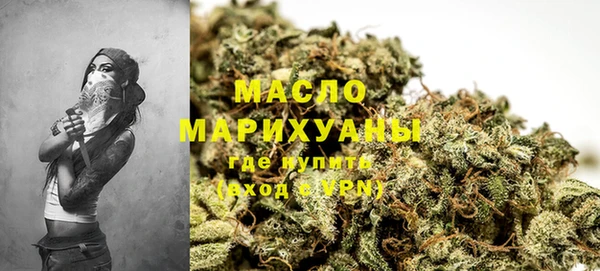 МДПВ Пересвет