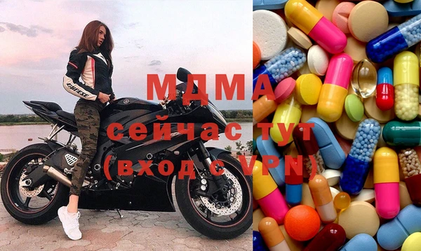 прущие грибы Абинск