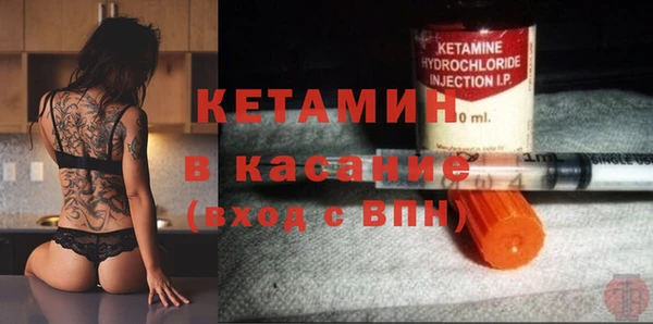 прущие грибы Абинск