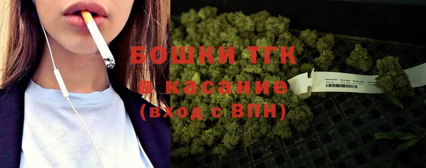прущие грибы Абинск