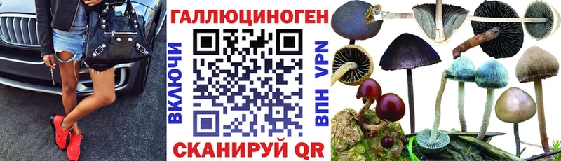 Галлюциногенные грибы ЛСД  блэк спрут   Томари 