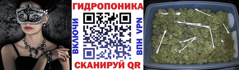 Бошки марихуана MAZAR где купить kraken ССЫЛКА Томари